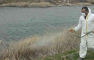 Delice’de yaz öncesi ilaçlama