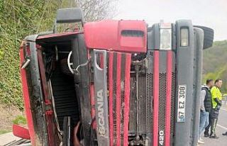 Demir yüklü tır devrildi: 1 ölü
