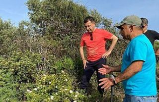 Doğal Botanik Parkı için harekete geçildi