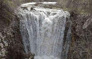 Doğangir şelalesi piknik ve mesire alanı olacak