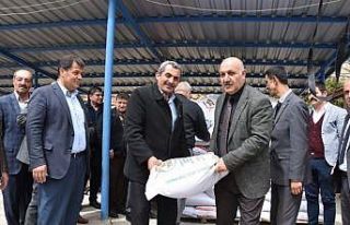 Doğanşehir de yüzde 75 hibeli kuru fasulye tohumu...