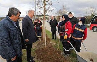 Düzce Belediyesi Park bahçeler ilk çeyreği dolu...