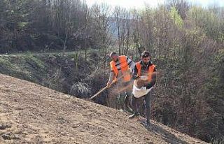 Düzce Katı Atık Tesisi lavanta kokacak