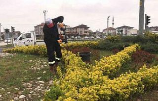 Düzce rengarenk bir görünüme kavuştu