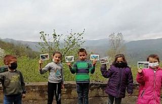 Düzce’nin fidanları 80 il de yeşermeye başladı