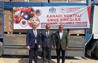 EİB, kirazda sirke sineğine karşı 50 bin tuzak...