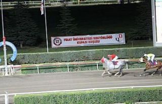 Elazığ’da at yarışlarına sayılı günler kaldı