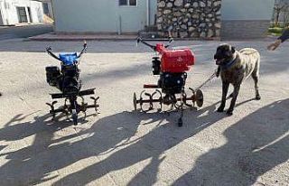 Elazığ’da çapa motoru ve kangal köpeği çalan...