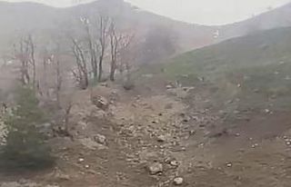 Elazığ’da kurt sürüsü görüntülendi