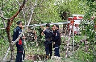 Elazığ’da kuyuya düşen inek kurtarıldı