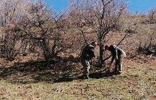 Elazığ’da yaban hayatı ve kaçak avcılar, fotokapanlarla...