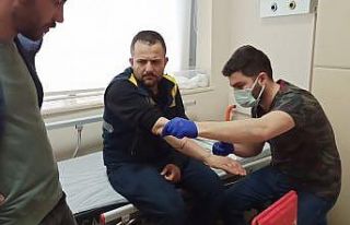 Elektrik dağıtım firmasının görevlisine köpekler...