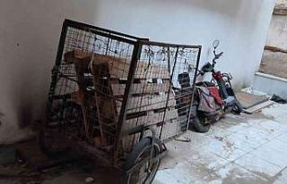 Elektrikli bisiklet hırsızları bekçiler den kaçamadı