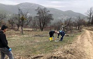 Emet’te “Küreci” cinsi elma üretimi artacak