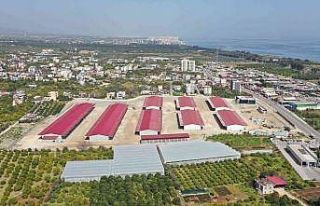 Erdemli Hal Tesisinin yüzde 75’i tamamlandı