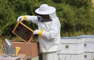 Erzincan’da bal üreticilerine 216 ton şeker dağıtıldı