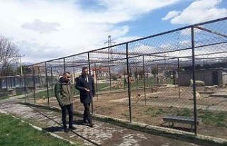 Erzincan’da hayvan bakımevi denetlendi