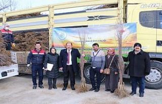 Erzincan’da meyvecilik sektörüne yatırımlar...