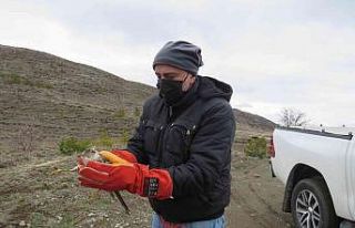 Erzincan’da tedavisi tamamlanan atmaca özgürlüğe...