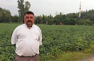 Eşini ve oğlunu öldürün cinayet zanlısı firari...