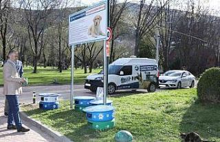 Eski lastikler kedilere ev oldu