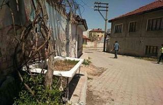 Eskiyen küvetini saksıya dönüştürerek içine...