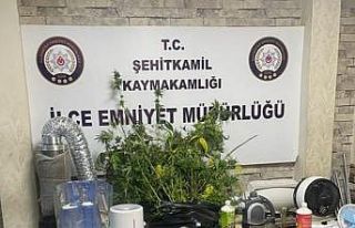 Evi uyuşturucu tarlasına dönüştürdüler