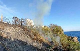 Falezlerde kargılık alandaki yangın korkuttu