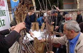 Fidan alabilmek için birbiriyle yarıştılar