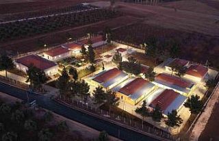 Gaziantep’te 4 ayda 150 sokak hayvanına yeni yuva...