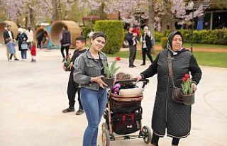 Gaziantep’te lale devri