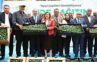 Gaziantep’te tarımsal üretime 2 milyon fide desteği