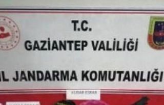 Gaziantep’te uyuşturucu ve kaçakçılık operasyonu