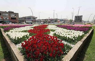 Gebze rengarenk çiçeklerle donatılıyor