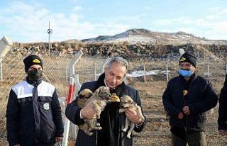 Geçici Barınma Merkezi Talas’ta 2.5 yıl öncesinde...
