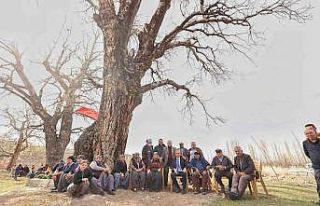 Geleceğe nefes olacak fidanlar toprakla buluştu