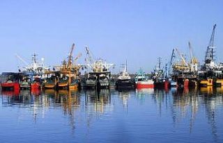Giresun sahillerinde balık sezonu bitti