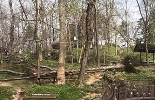 Giresun’da şiddetli rüzgar çatıları uçurdu,...