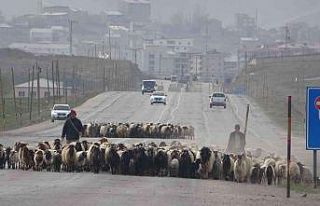 Göçerlerin zorlu yolculuğu başladı
