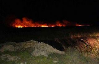 Göksu Deltası’nda yangın