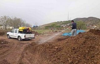 Gölbaşı’nda larva ilaçlaması sürüyor