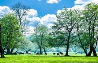 Gölyaka Kültür Park, ziyaretçilerini bekliyor