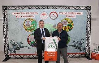 ’Güneşin Kızları Tarlada Projesi’nde tohumluk...