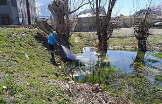 Hakkari’de ilaçlama çalışması başlatıldı