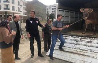 Halk gününde inek istedi, vali kapısına gönderdi