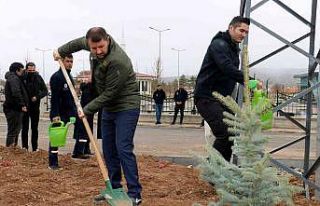 Hamidiye 350 fidanla taçlandı