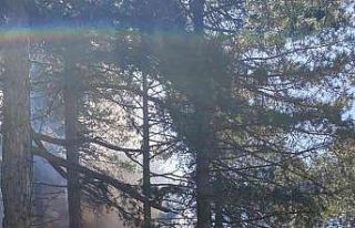 Hatay’da Amanoslar Üçkoz Yaylasında çıkan yangında...