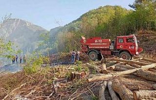 Hatay’da çıkan orman yangını söndürüldü