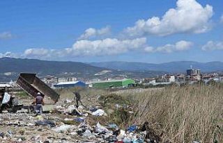 Hatay’da kuşların barınma alanlarına çöp ve...