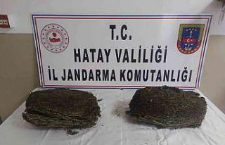 Hatay’da uyuşturucu operasyonu
